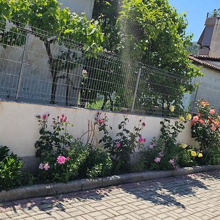 Aliaj Guest House بيرات المظهر الخارجي الصورة