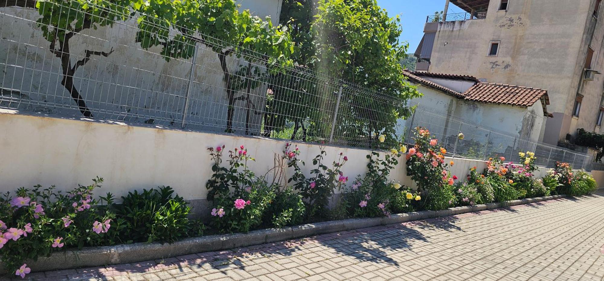 Aliaj Guest House بيرات المظهر الخارجي الصورة